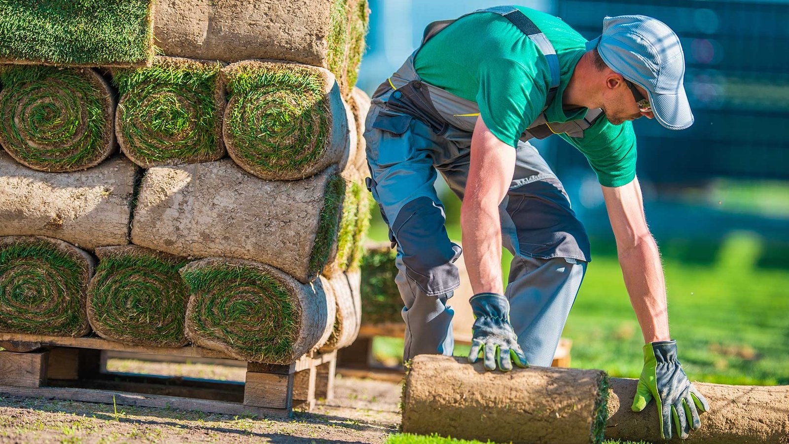 Desmoturf: Revolutionizing Turf Solutions for Your Lawn
